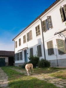 Το κτήριο όπου στεγάζεται  το διαμέρισμα +18 φωτογραφίες