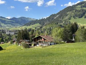 a house on a hill in a green field at Apartment Alpenchalet Haldeli Dachwohnung by Interhome in Gstaad