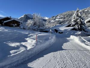a road covered in snow with a house and trees at Apartment Alpenchalet Haldeli Dachwohnung by Interhome in Gstaad