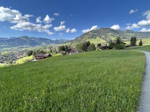 a road through a green field with mountains in the background at Apartment Alpenchalet Haldeli Dachwohnung by Interhome in Gstaad