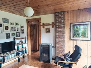 Μια τηλεόραση ή/και κέντρο ψυχαγωγίας στο Holiday Home Ferienhaus Licht by Interhome