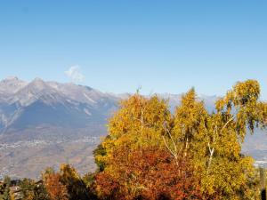 Příroda nedaleko chaty