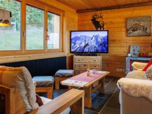 TV a/nebo společenská místnost v ubytování Chalet Le Bouquetin by Interhome
