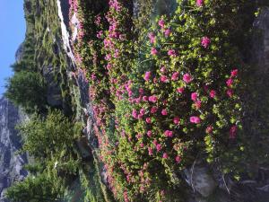 Příroda nedaleko apartmánu + 31 fotografií