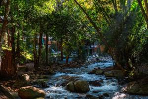 a stream in a forest with rocks and trees at เดอะริเวอร์ แม่กำปอง The River Maekampong Chiang Mai in Ban Pok Nai +123 photos