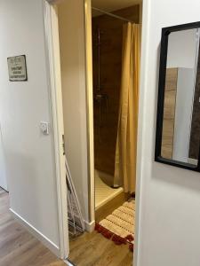 a bathroom with a shower and a mirror at Appartement F2 de 55 m2 in Blanzy +10 photos