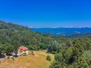 Příroda nedaleko prázdninového domu + 62 fotografií