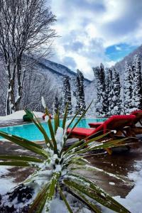 a view of a pool with snow covered trees and mountains at La Mama in Boga