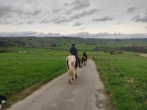 two people riding horses down a dirt road at Le Flanelmont in Theux