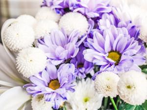 Fotografie z fotogalerie ubytování Holiday Home Wester Bunloit by Interhome v destinaci Inverfarigaig