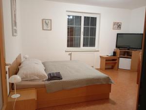 a bedroom with a bed and a flat screen tv at Vila Heda in Františkovy Lázně