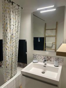 Ένα μπάνιο στο Appartement centre Vichy avec jardin +16 φωτογραφίες