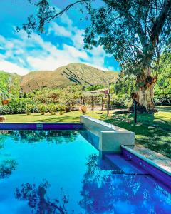una piscina con un árbol y montañas en el fondo en Cabañas Estancia Balumba, en Capilla del Monte