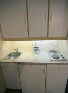 Kuchyň nebo kuchyňský kout v ubytování Dôme de Polset Appartements VTI + 37 fotografií