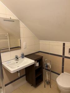 Koupelna v ubytování Penzion Marjána