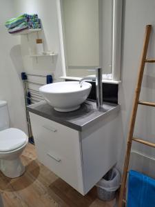 a bathroom with a sink and a toilet at Le studio d' EMI in Argelès-Gazost +11 photos