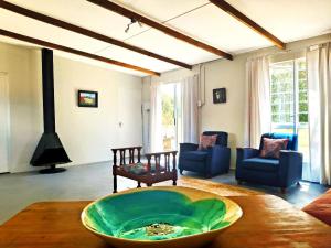 Cornelia's Field في Joubertina: غرفة معيشة مع وعاء أخضر كبير على طاولة