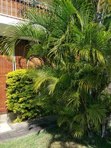 a group of palm trees in front of a building at KASPOZ Entire Holiday Home - Private garden & 5 mins walk to the beach in Mont Choisy