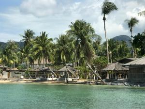 Příroda nedaleko kempu