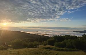 Bali domy RESTORT & SPA في Laskowa: اطلالة على غروب الشمس على ميدان به اشجار