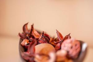 Gallery image of Swilken Lodge - Blacklaws Steading in Kilrenny