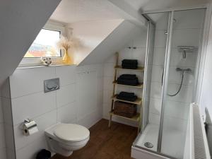 un baño con inodoro y ducha en Monteurwohung, Wohnung Möbliert, 55543 Bad Kreuznach, en Bad Kreuznach