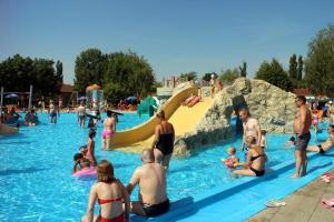 a group of people in a pool at a water park at Dom Petra in Štúrovo