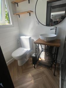 a bathroom with a toilet and a sink and a mirror at La Tiny du Rioux in Lagnieu
