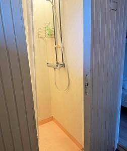 Cottage near the beach with guesthouse SE09165 في Sörtegen: كشك للاستحمام في غرفة مع باب