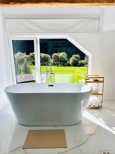 Φωτογραφία από το άλμπουμ του The W Villa σε Toplita