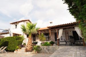 una casa con un patio y una palmera en Villa Suites Lagonisi Luxury, en Lagonisi