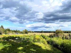 a field of grass with a cloudy sky at Zimmer & Ferienwohnung Steuer in Leippe