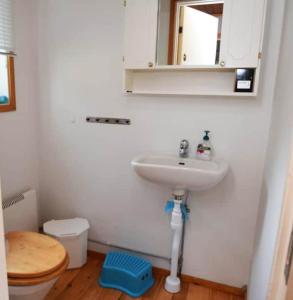 Ένα μπάνιο στο Spacious cottage in Svanesund near beach and grocery store SE09163 +13 φωτογραφίες