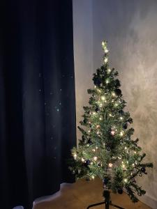a christmas tree with lights in a room at Grote Markt suite 3 in Antwerp