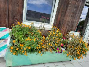 Zahrada ubytování NEU! Ferienwohnung Unterfranken