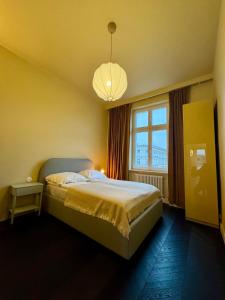 JTB Apartamenty Centrum في شتتين: غرفة نوم بها سرير ونافذة كبيرة