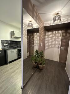 una cocina con dos macetas en una habitación en Appartement luxueux avec jacuzzi, en Cergy 6 fotos más