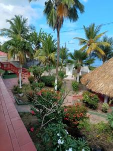 Κήπος έξω από το Las Margaritas Frente al Mar 2 +9 φωτογραφίες