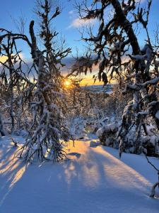 Bjerghytte Med Fremragende Skiløjper v zimě