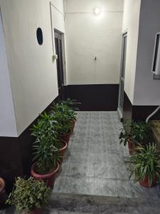 Nitin guest house في جالاندهار: مدخل مع نباتات الفخار في مبنى