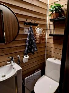 a bathroom with a toilet and a sink and a mirror at Lapland Landscape Cabin with Nature View, Sauna, Fireplace & Kitchen, Ylläs, Äkäslompolo, Borealis Village in Äkäslompolo