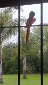 En have udenfor Posada El Descanso + 3 billeder