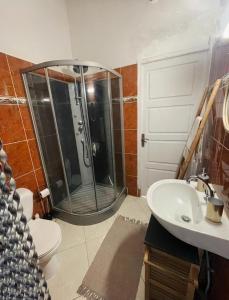 Koupelna v ubytování Studio Cosy avec espace piscine à la villa Boucard