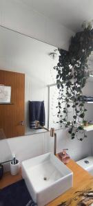 een badkamer met een witte wastafel met een plant aan de muur bij Refúgio Premium UTFPR in Londrina +16 foto's
