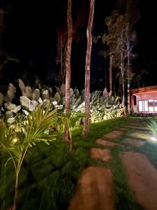 a garden with palm trees and plants at night at casa refugio das bromelhas in Itacaré