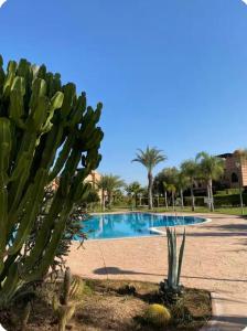 Bazén v ubytování Welcome to your Stylish Atlas View Apartment nebo v jeho okolí