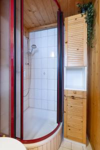 AxalpにあるPeaceful Alpine Home with a View & Hot Tubのシャワーとバスタブ付きのバスルーム