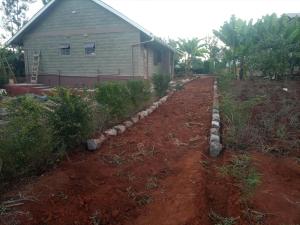 Miale Guests Cottages : حديقة امام المنزل +3 صور