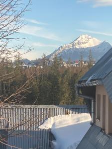 een met sneeuw bedekt dak met een berg op de achtergrond bij Kapacówka in Zakopane