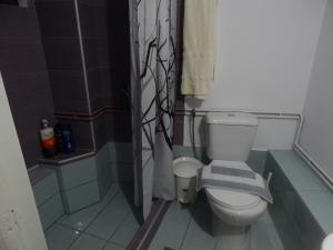 un bagno con wc e doccia di Erini Room a Kíssamos